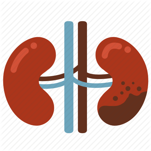 A picture depiction of kidney disease. Credit: favpng.com